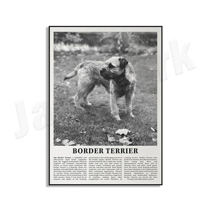 DecorBites™ Black & White Dog Breeds Poster: Greyhound, Cocker Spaniel, Akita, Malamute, Cattle Dog
