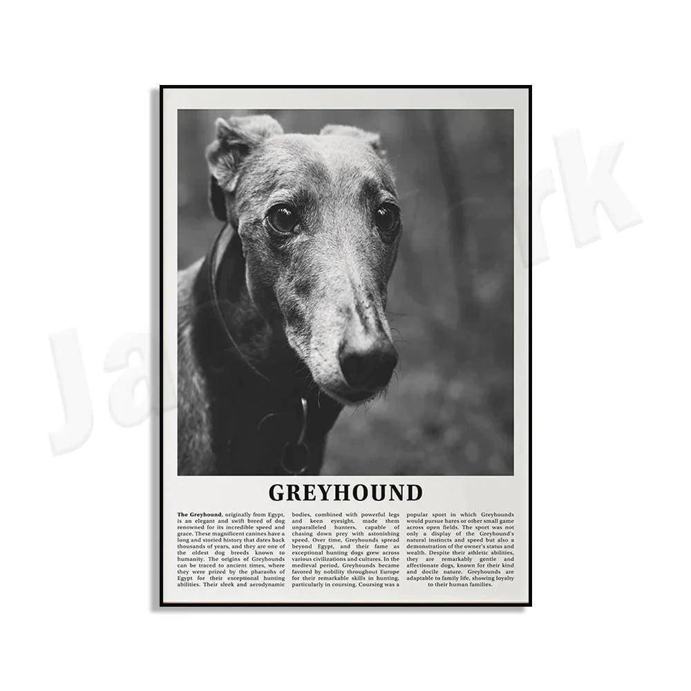 DecorBites™ Black & White Dog Breeds Poster: Greyhound, Cocker Spaniel, Akita, Malamute, Cattle Dog