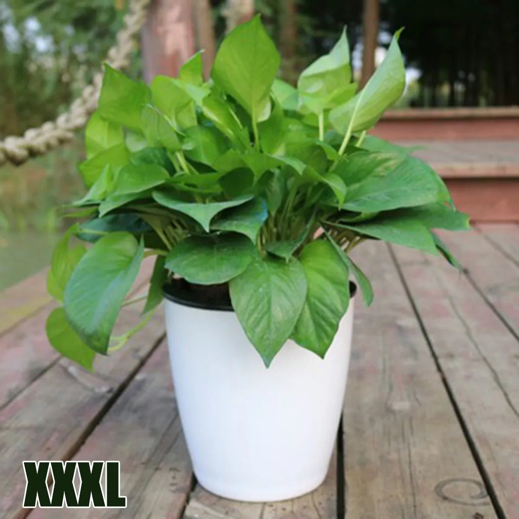 Self-Watering Imitation Porcelain Flower Pot