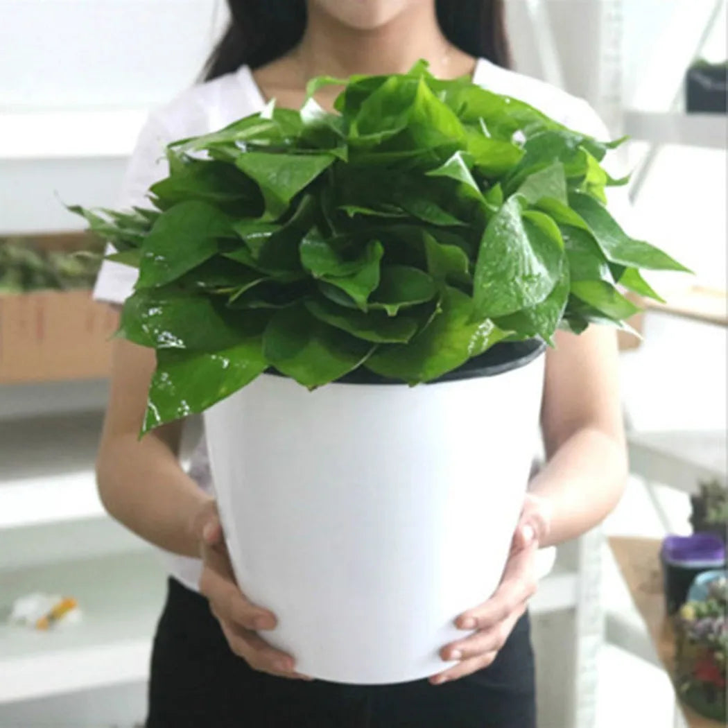 Self-Watering Imitation Porcelain Flower Pot