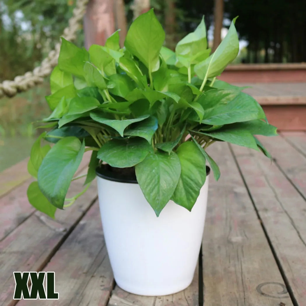 Self-Watering Plastic Flower Pot - Green