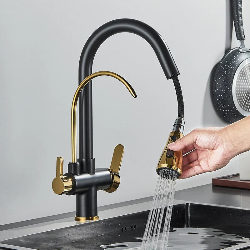 Black Gold Pull-Out Faucet
