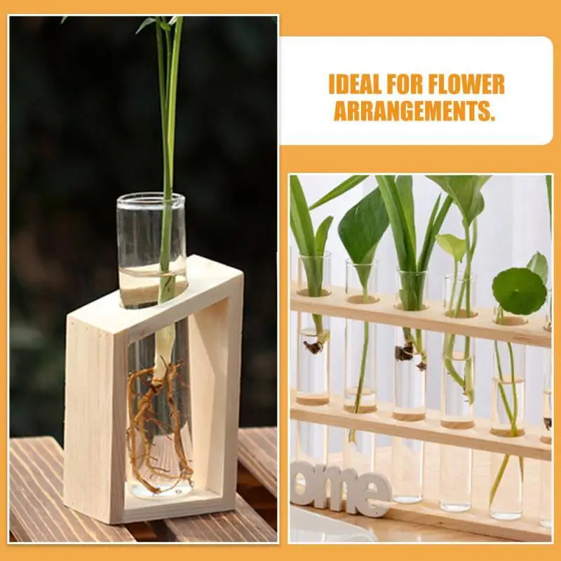 Clear Glass Test Tube Vases for Plants