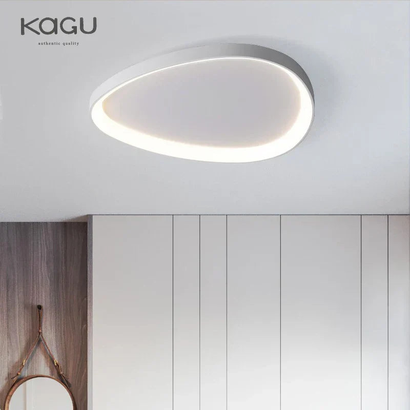 Modern LED Ceiling Fixture