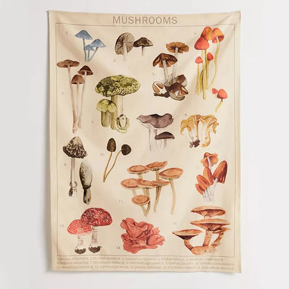 Decobites Mushroom Identification Chart Wall Art - Mycology Champignon Illustration Boho Decor