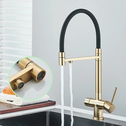 DecorBites™ Brushed Gold 360 Rotate Pull Out Kitchen Filter Faucet with Dual Handle