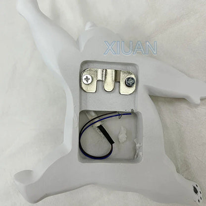 ديكوربايتس™ مصباح حائط على شكل دب أزرق وردي لغرفة نوم الأطفال، إضاءة قمرية ثلاثية الأبعاد، لمبة G9