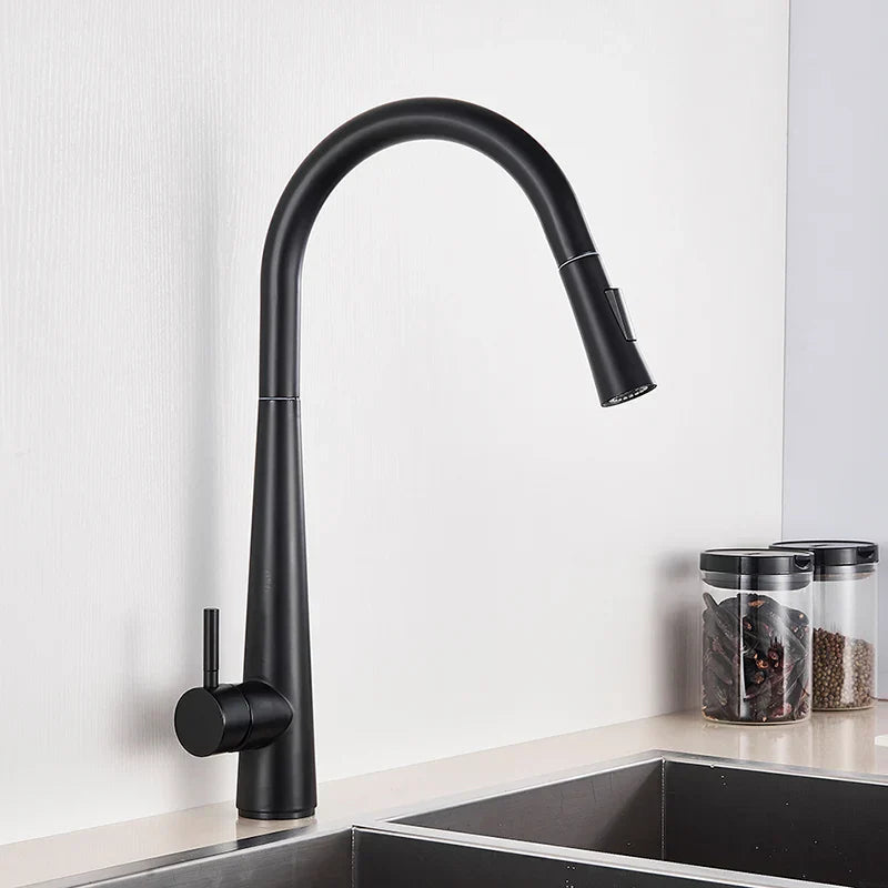 DecorBites™ Gold Swivel Kitchen Faucet with Pull Down Sprayer