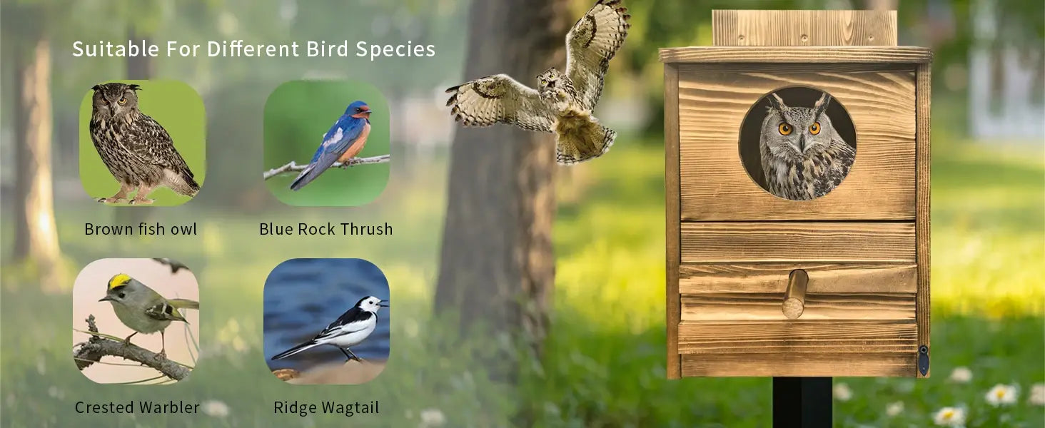 DecorBites™ Handmade Wooden Screech Owl House - Outdoor Nesting Box