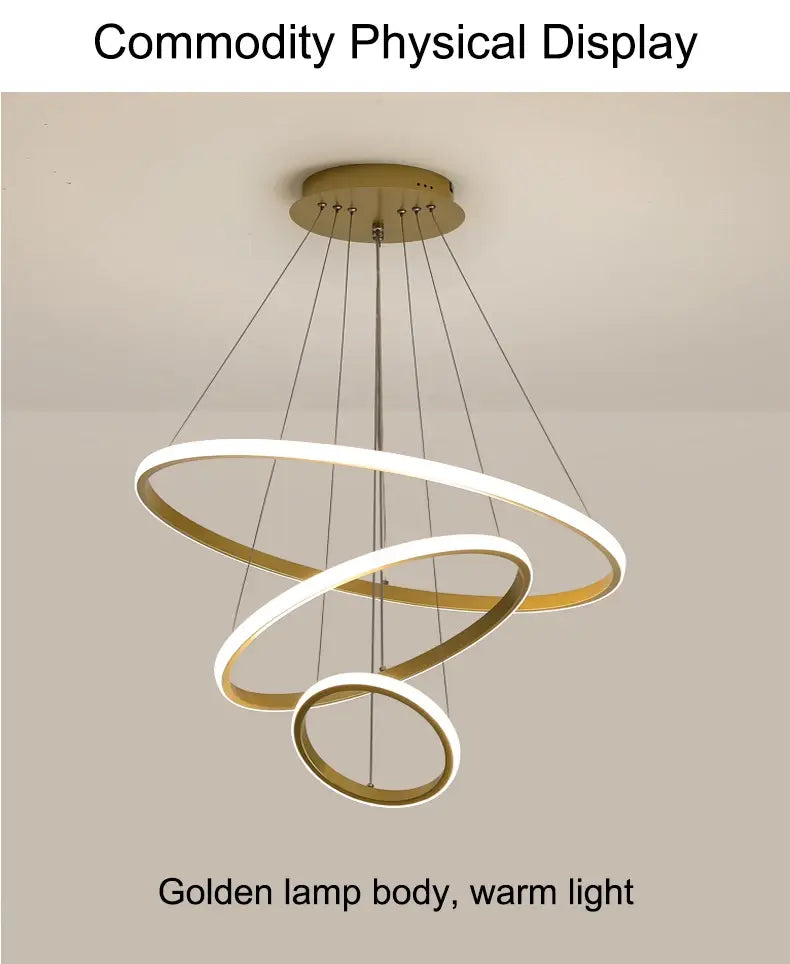 DecorBites™ Modern LED Ring Pendant Chandelier - Black