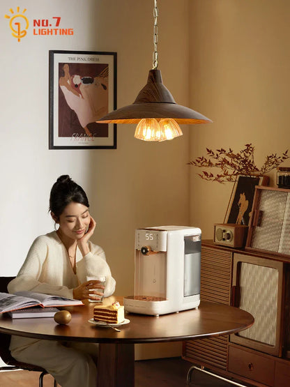 DecorBites™ Iron Art Decor Pendant Lights, LED E14 Modern Fixtures for Home and Restaurant