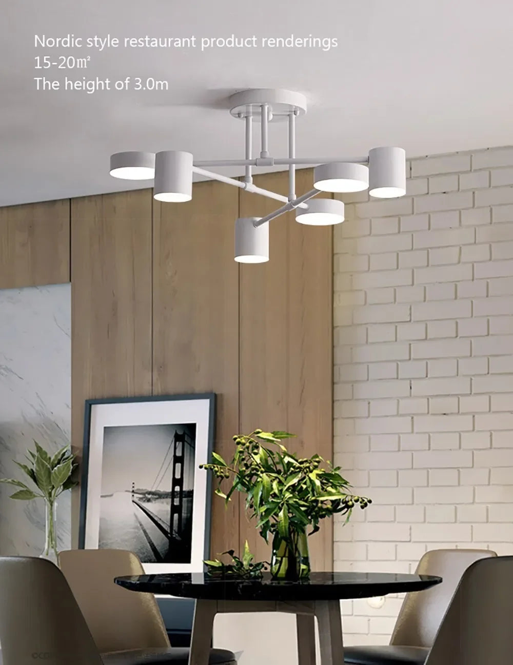 Sleek LED Modern Ceiling Light