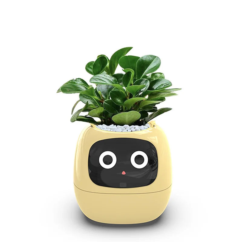 Small Green Plastic Flower Pot