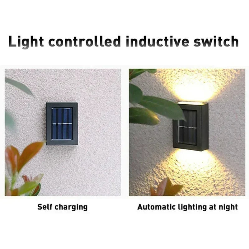 Solar Waterproof Up and Down Lights