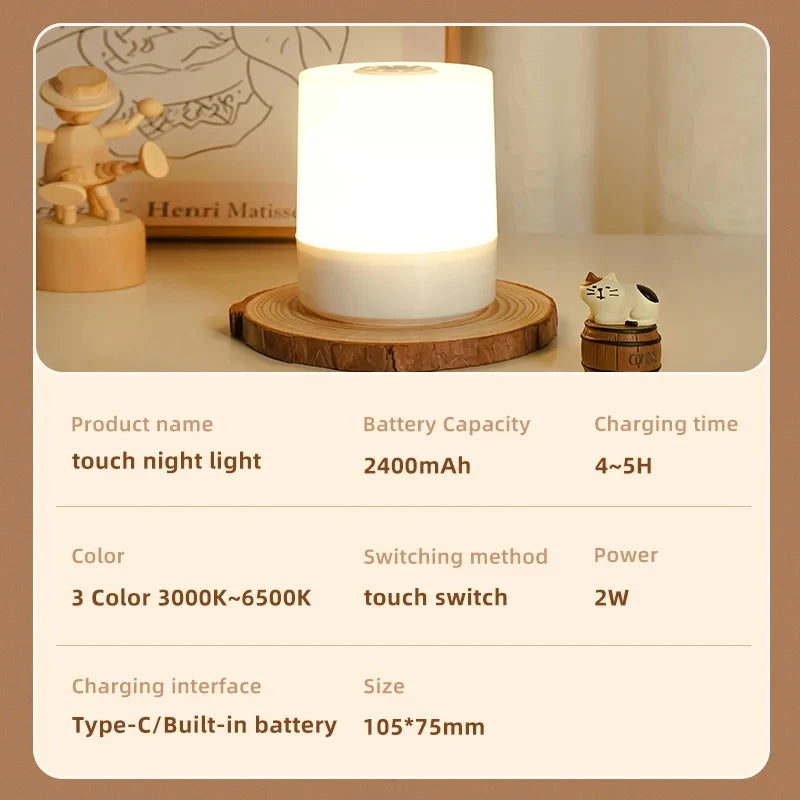 Touch Night Lamp with USB Charging