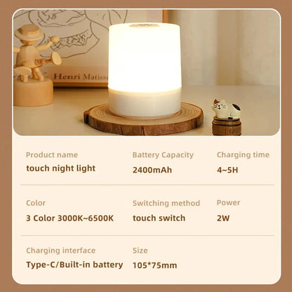 Touch Night Lamp with USB Charging