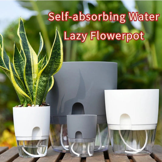 Transparent Double Layer Water Flower Pot