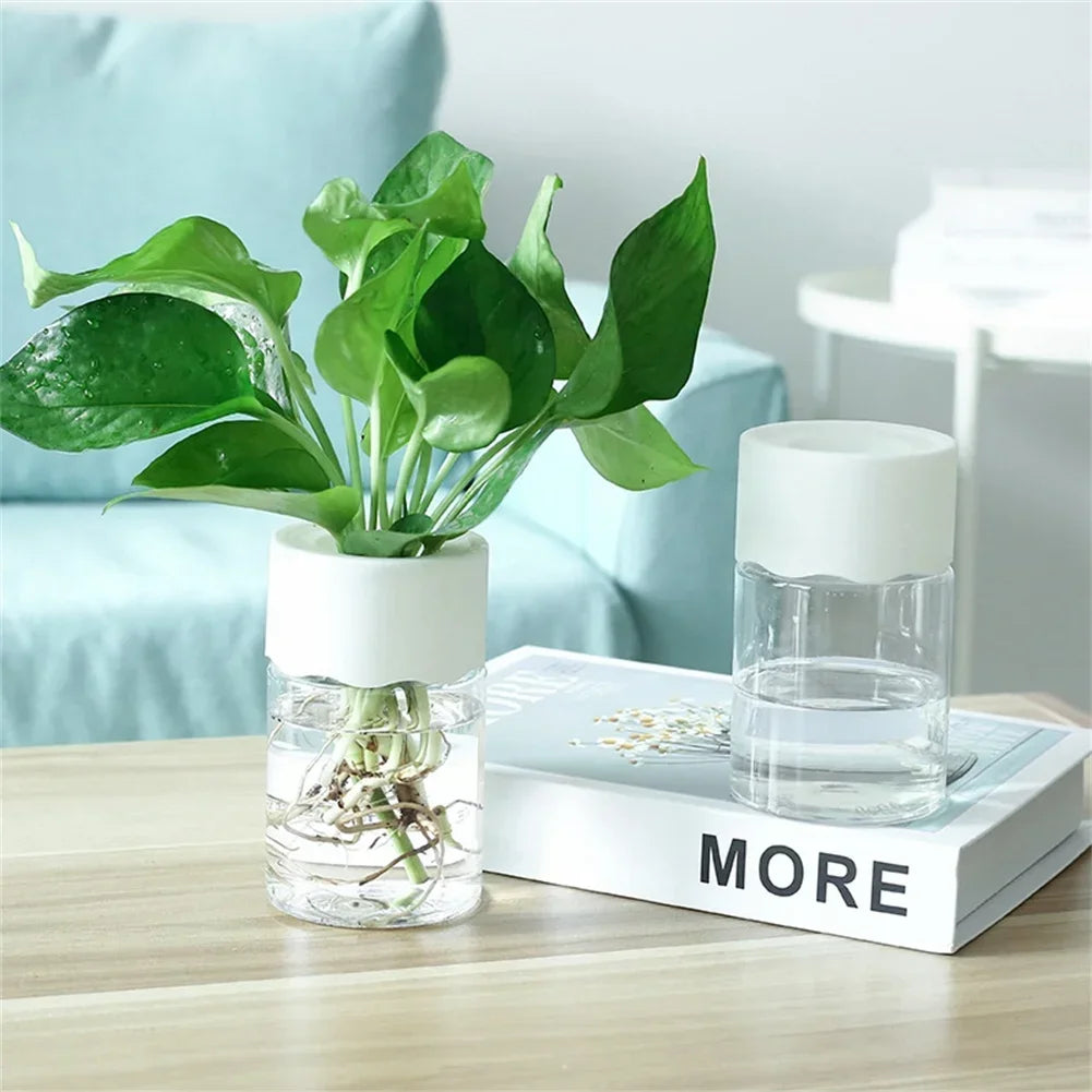 Transparent Mini Hydroponic Plant Pot