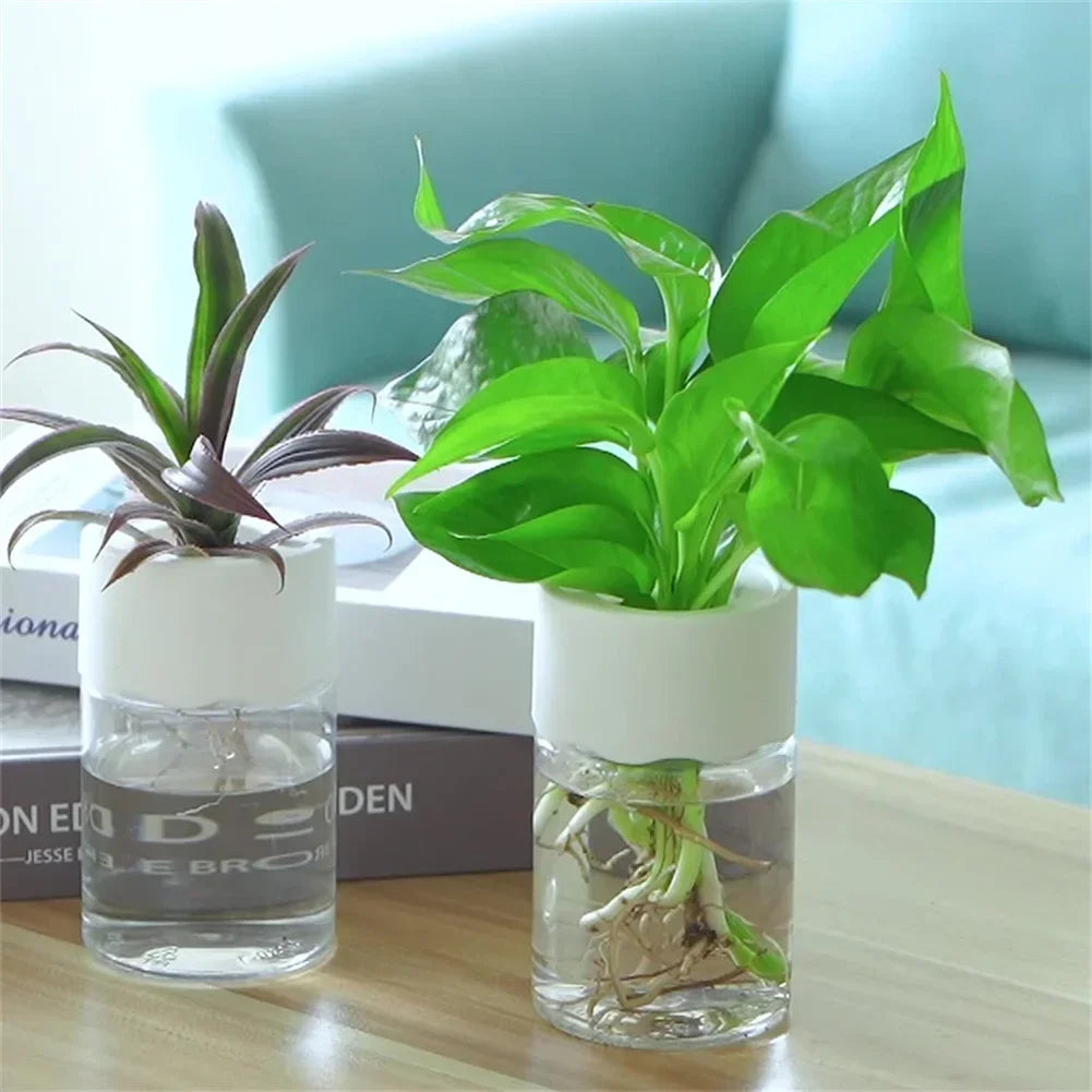 Transparent Mini Hydroponic Plant Pot