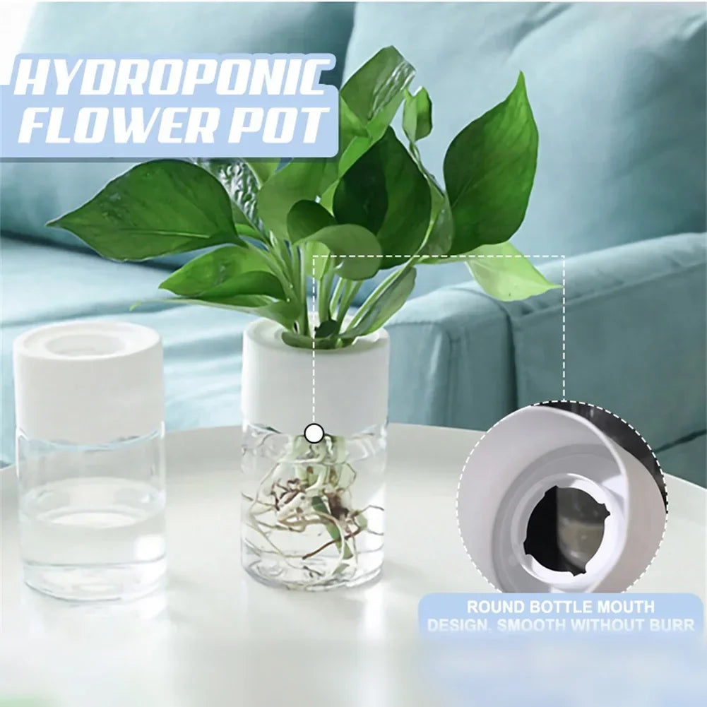 Transparent Mini Hydroponic Plant Pot