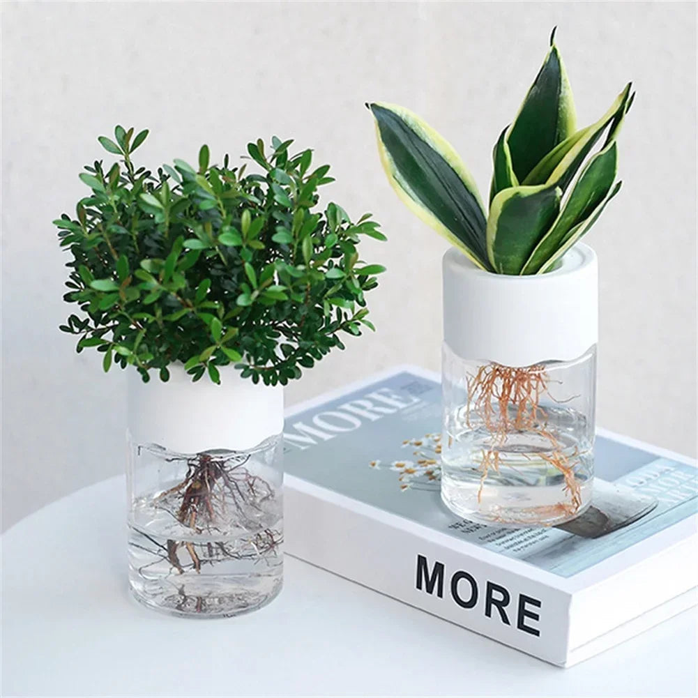 Transparent Mini Hydroponic Plant Pot