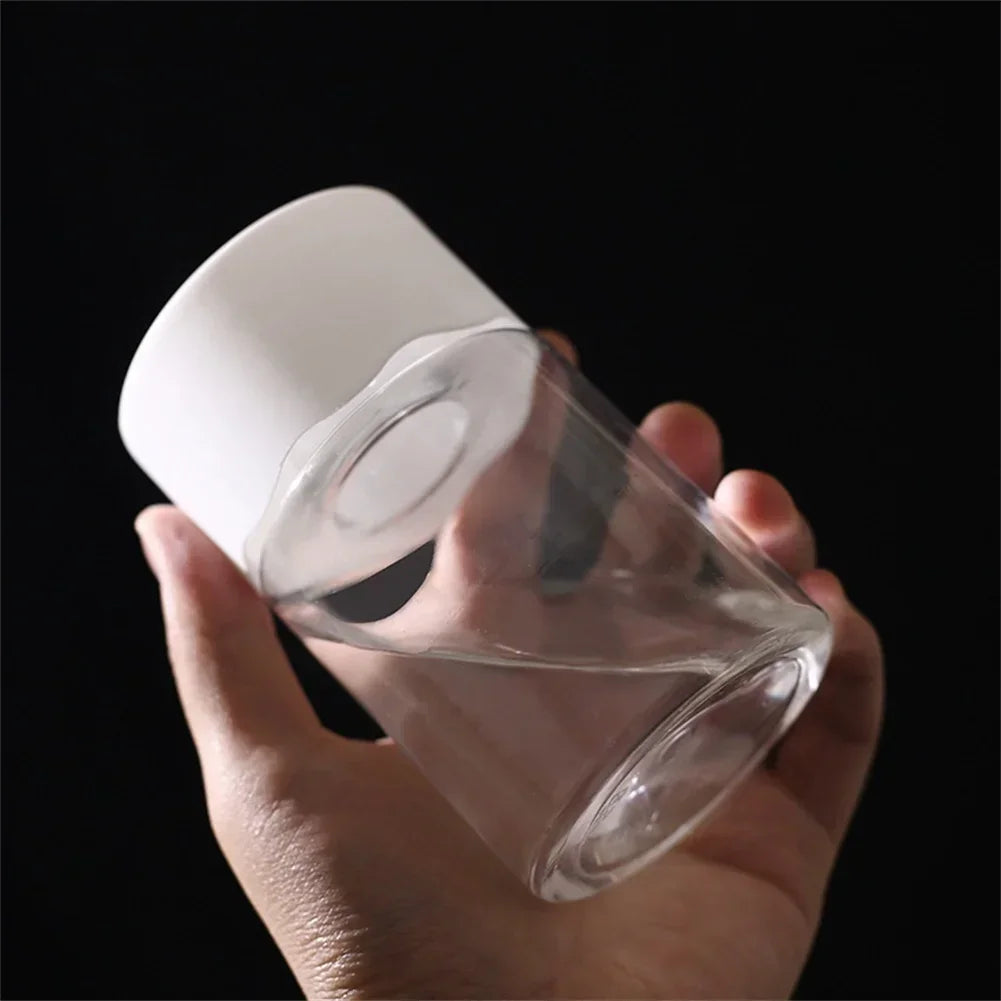 Transparent Mini Hydroponic Plant Pot