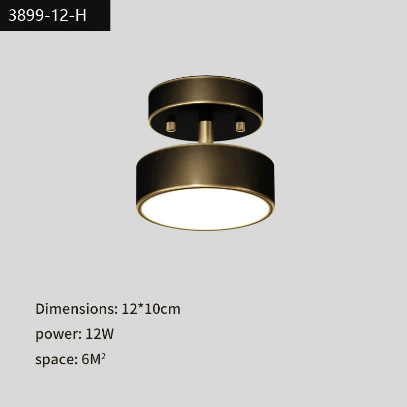 DecorBites™ Black Copper LED Ceiling Light Modern Chandelier Ring Fixture for Home Decor