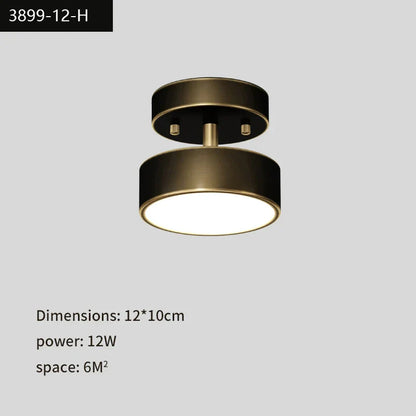DecorBites™ Black Copper LED Ceiling Light Modern Chandelier Ring Fixture for Home Decor