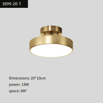 DecorBites™ Black Copper LED Ceiling Light Modern Chandelier Ring Fixture for Home Decor