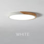 Ultra-Thin LED Ceiling Light Fixture