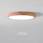 Ultra-Thin LED Ceiling Light Fixture