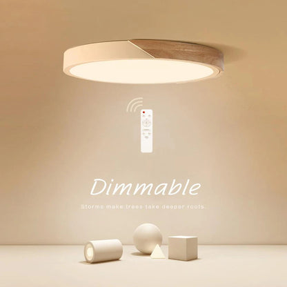 Ultra-Thin LED Ceiling Light Fixture