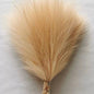 Vibrant 42cm Silk Pampas Grass