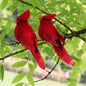 Vibrant Red Feather Bird Figurines