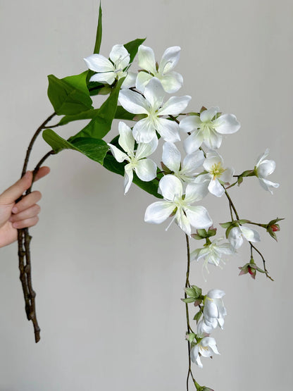 White Silk Jasmine Hanging Flowers