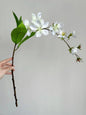 White Silk Jasmine Hanging Flowers