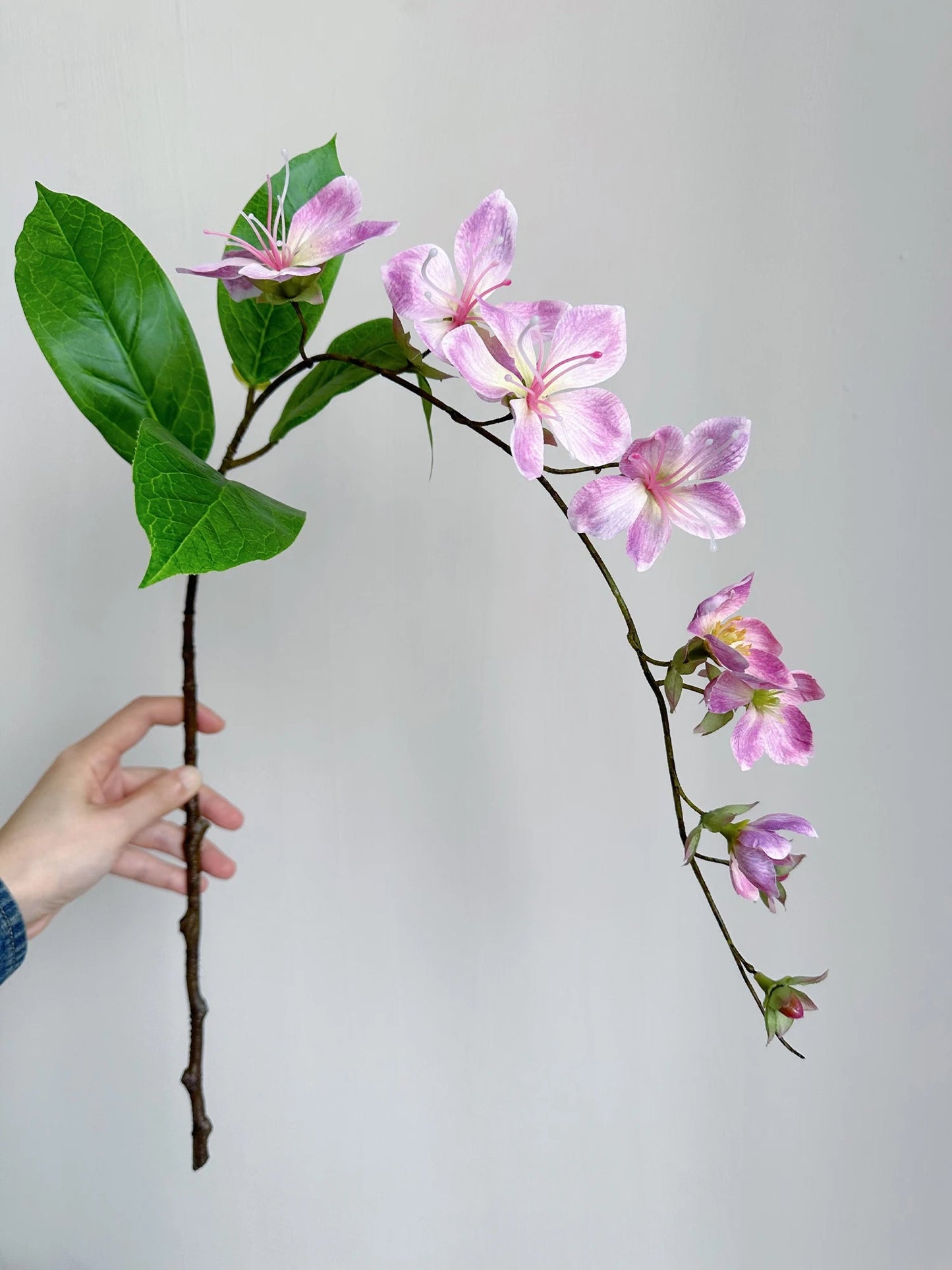 White Silk Jasmine Hanging Flowers