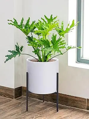 XX Large Modern White Ceramic Planter