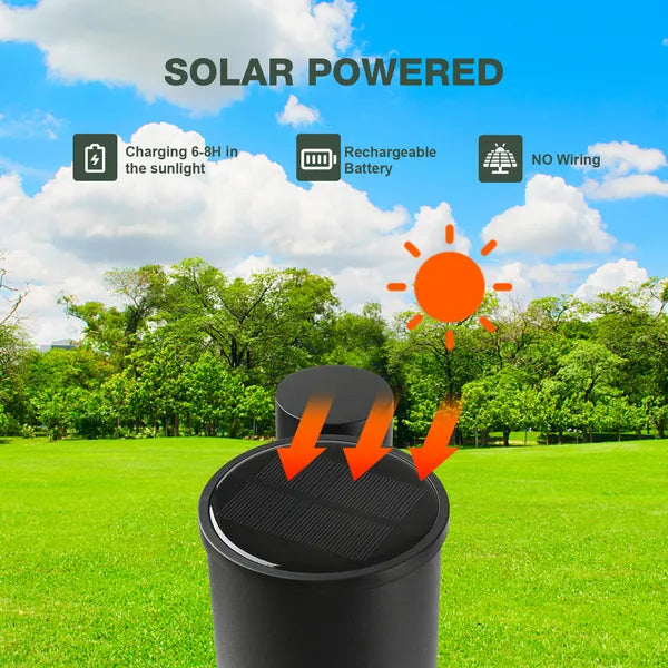 Solar Landscape Pathway Lights LED Outdoor Waterproof Dusk To Dawn Driveway Lights 2074