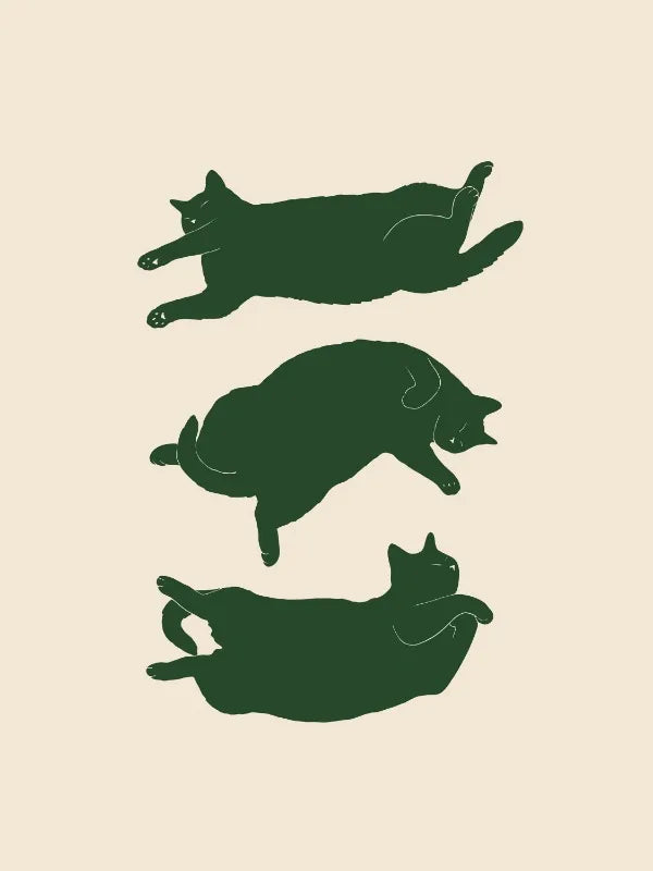 Abstract Lazy Cat Canvas Wall Art - 4 / 50x70cm Unframed