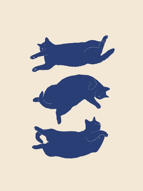 Abstract Lazy Cat Canvas Wall Art - 5 / 50x70cm Unframed