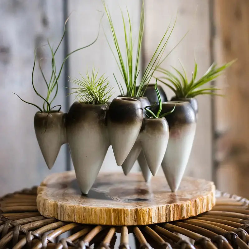 Set of ceramic abstract tooth planters with blue and green gradient holding air plants for hanging vase decorbites decor