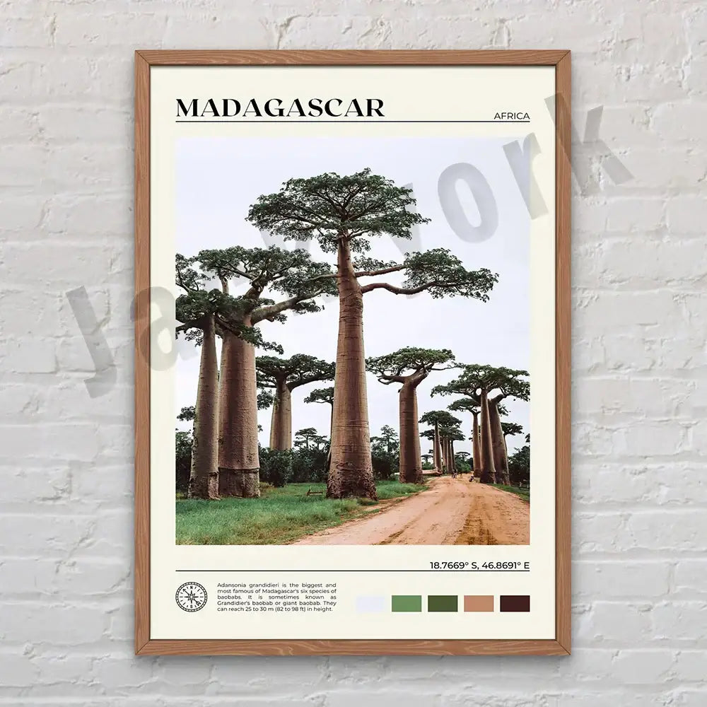 A framed decorbites canvas printing featuring madagascar baobab trees with title and coordinates in a set of 6