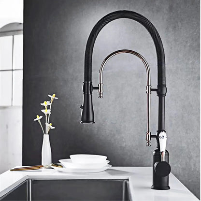 Black and chrome kitchen faucet with flexible gooseneck spout and pull-down spray head for single hole single handle use