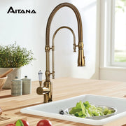 Aitana brass finished single handle kitchen faucet with flexible ribbed gooseneck spout and ornate base for single hole installation