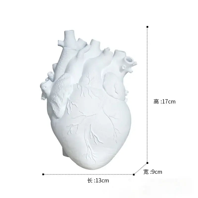 Anatomical white ceramic heart shape vase with detailed ridges and vascular patterns for living room decorbites heart shape