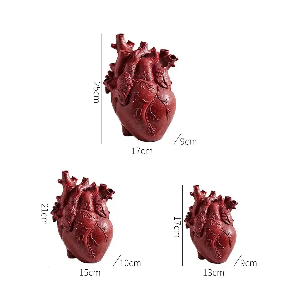 Red anatomically detailed anatomy heart vase by decorbites unique heart vase and dry pot for valentine’s day gift