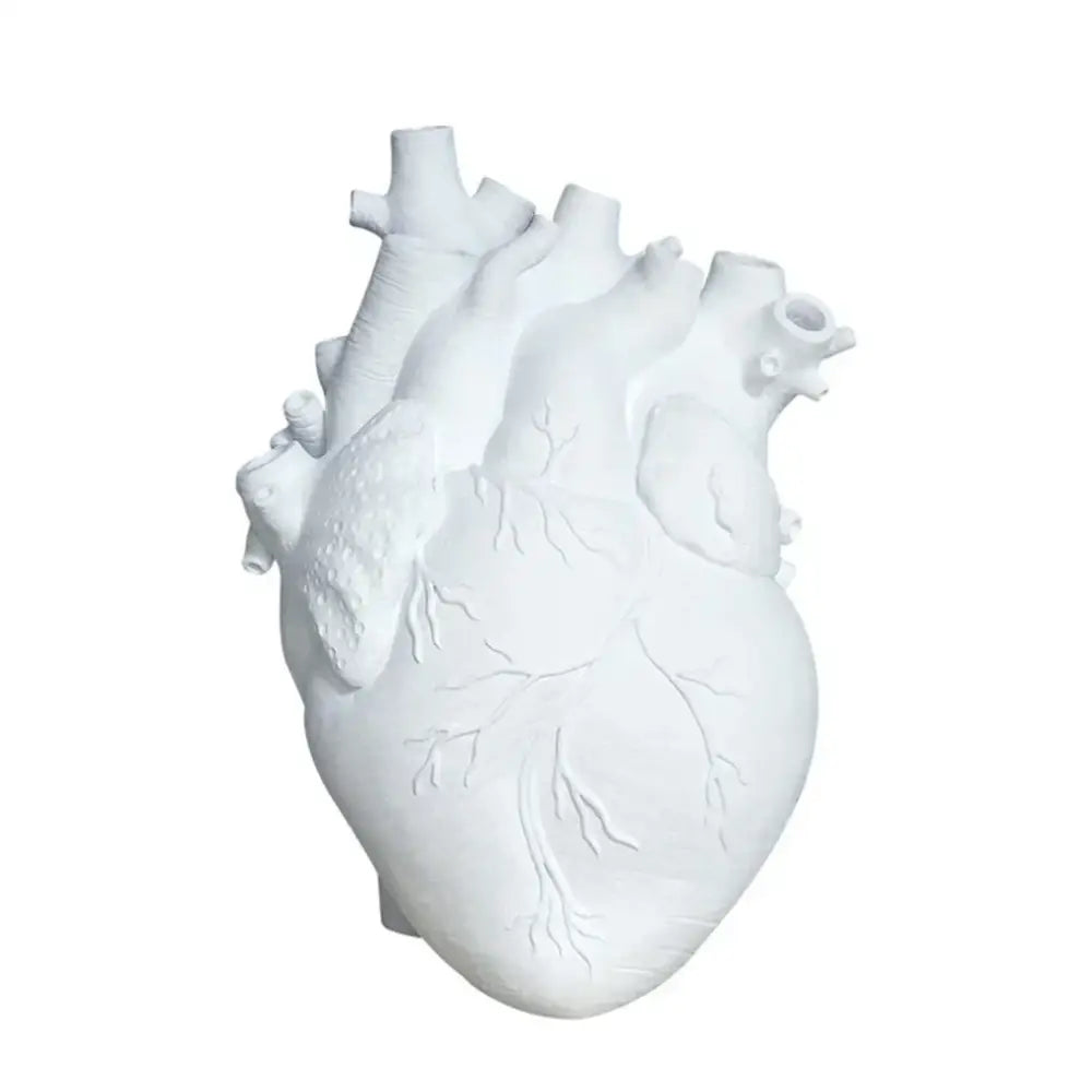 White anatomically detailed anatomy heart vase decorative dry pot ideal for unique valentines day gift by decorbites