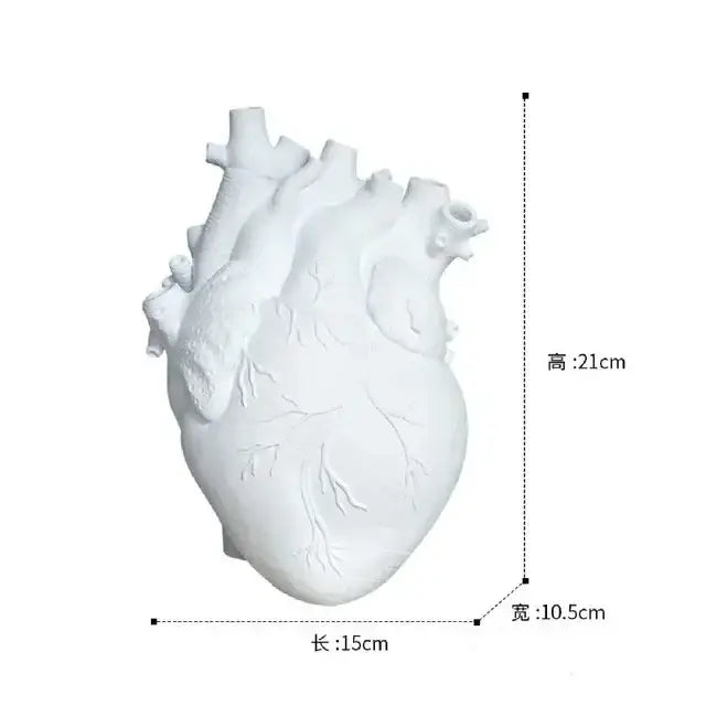 White ceramic anatomy heart vase with detailed ridges and valves by DecorBites™ ideal for dry pot or heart vase gift