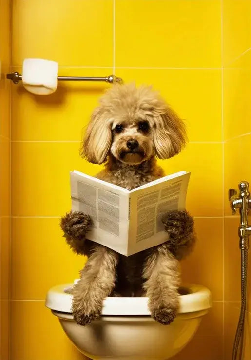 A light brown poodle on a white toilet bowl in a yellow tiled bathroom animal posters set for home decor by DecorBites